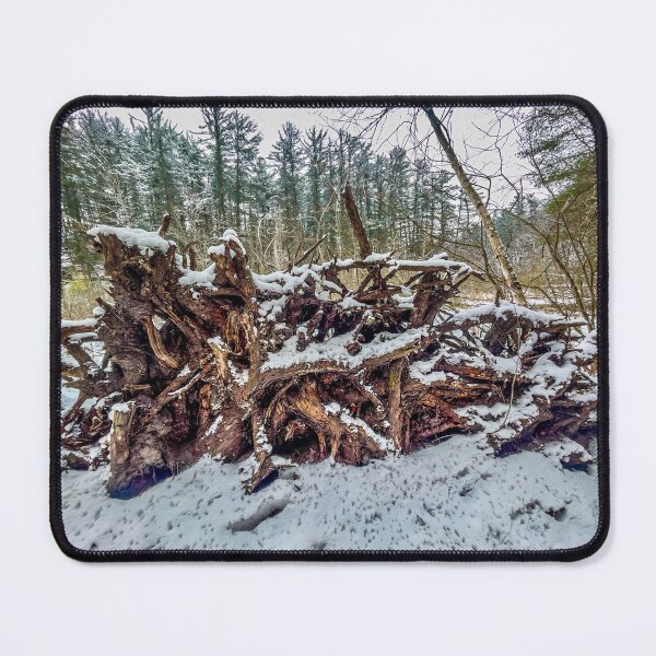 Item preview, Rocky Arbor Wisconsin – Snow Covered Tree Roots Forest Landscape Photography designed and sold by aadventures.