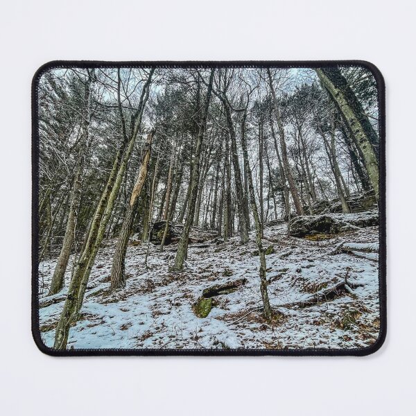 Item preview, Rocky Arbor Wisconsin Winter Forest – Snowy Hillside Trees Landscape Photography designed and sold by aadventures.