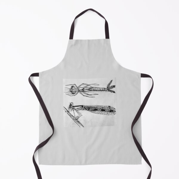 Item preview, Stages of the Damselfly Hand Drawn designed and sold by HouseplantsAndScamps.