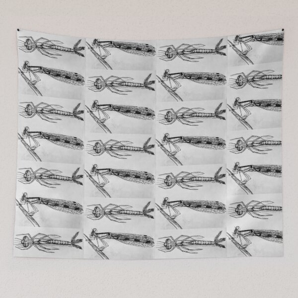 Item preview, Stages of the Damselfly Hand Drawn designed and sold by HouseplantsAndScamps.