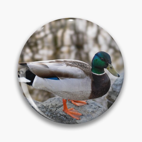 Item preview, The Pond Duck designed and sold by kelseyruiz.