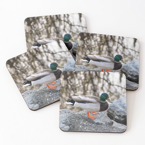 Item preview, The Pond Duck designed and sold by kelseyruiz.