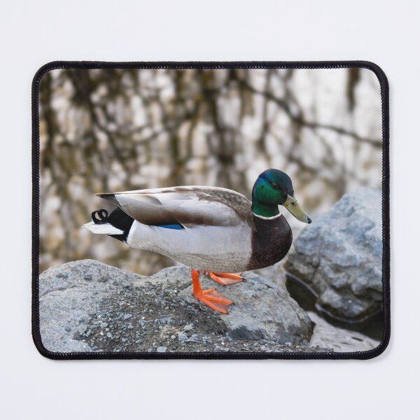 Item preview, The Pond Duck designed and sold by kelseyruiz.