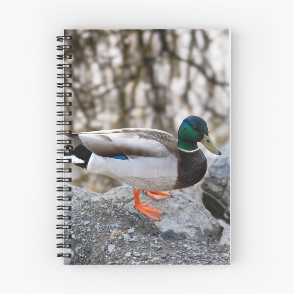Item preview, The Pond Duck designed and sold by kelseyruiz.