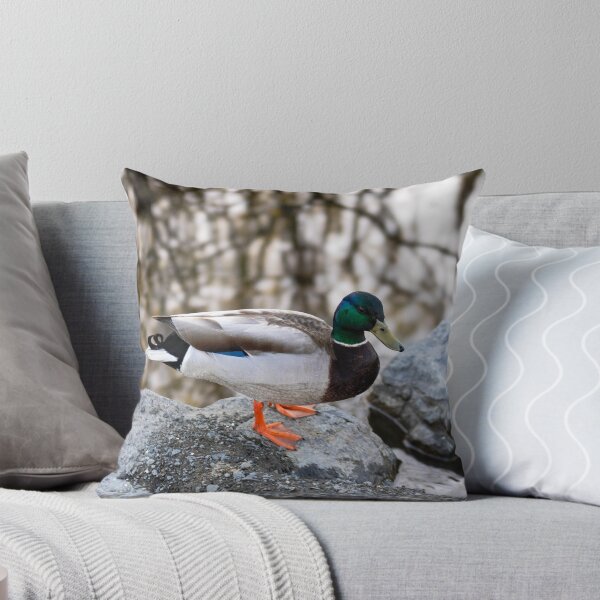 Item preview, The Pond Duck designed and sold by kelseyruiz.