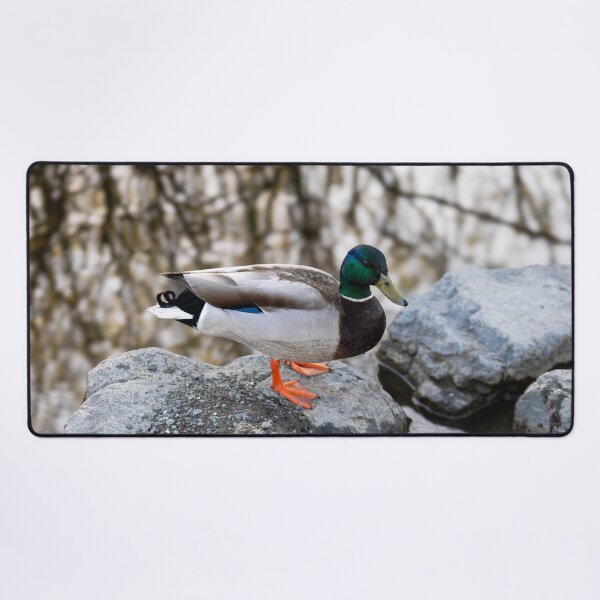 Item preview, The Pond Duck designed and sold by kelseyruiz.