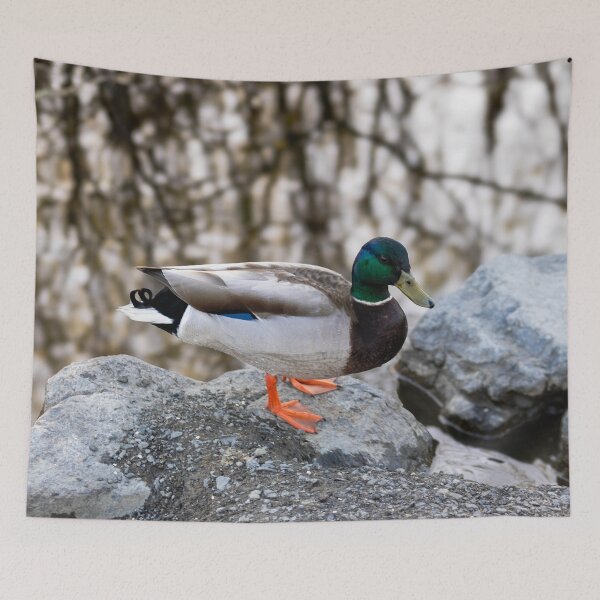 Item preview, The Pond Duck designed and sold by kelseyruiz.