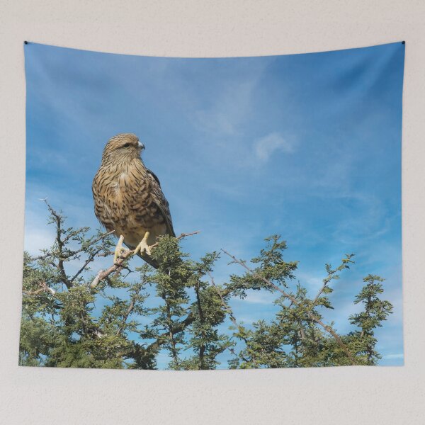 Item preview, Greater Kestrel On the Hunt designed and sold by Kay Brewer.