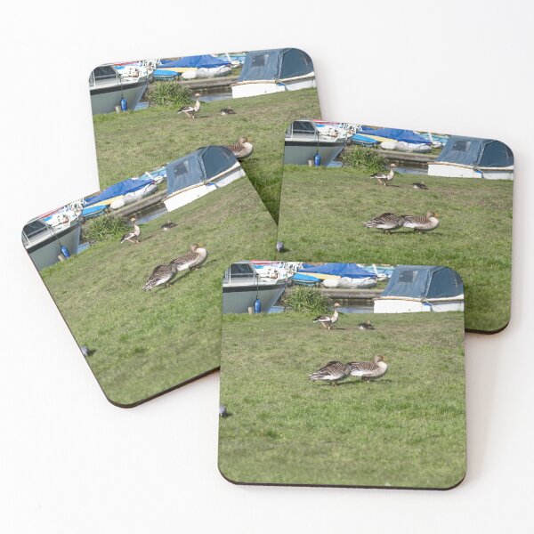 Item preview, Greylag geese on the river bank designed and sold by yackers1.