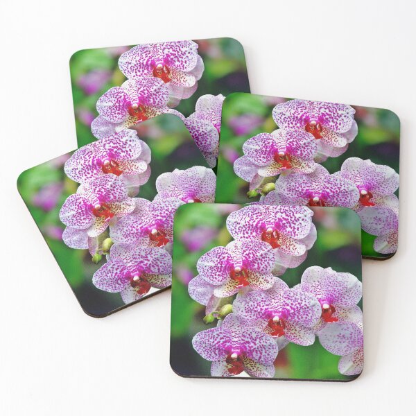 Item preview, Springtime at the Arboretum - Wall Art designed and sold by DBM Photo Art 1.
