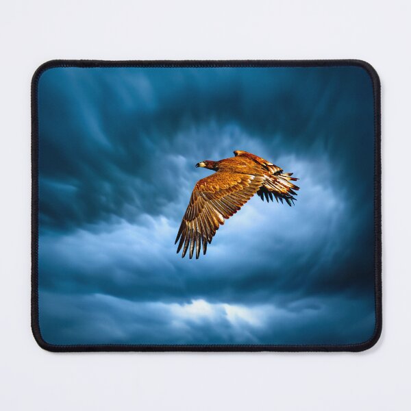 Item preview, Fly Like an Eagle - Wall Art designed and sold by DBM Photo Art 1.