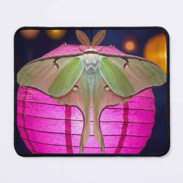 Item preview, Luna Moth on a Paper Lantern designed and sold by Tridentulus.