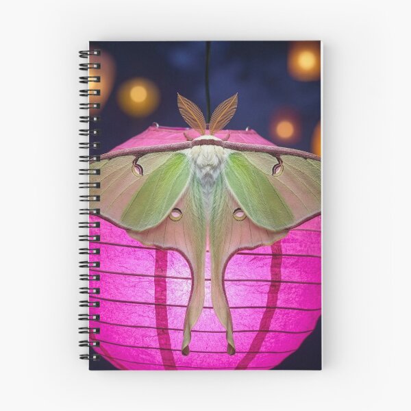 Item preview, Luna Moth on a Paper Lantern designed and sold by Tridentulus.