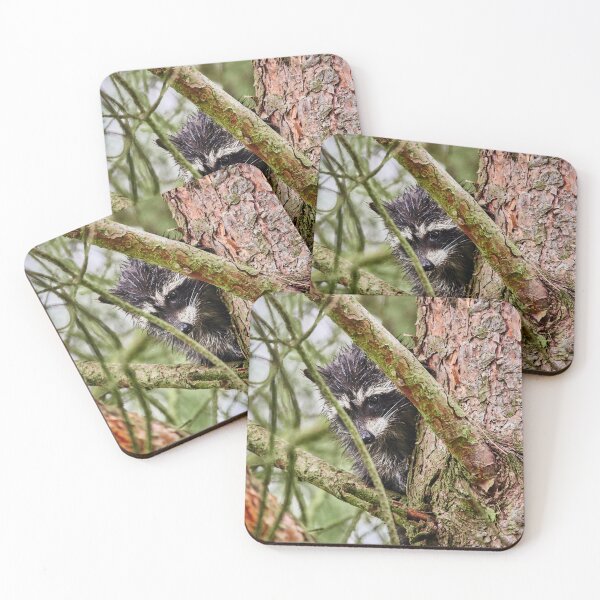 Item preview, Soaked to the Bone designed and sold by Eidetic Photos.
