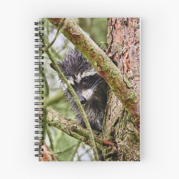 Item preview, Soaked to the Bone designed and sold by Eidetic Photos.