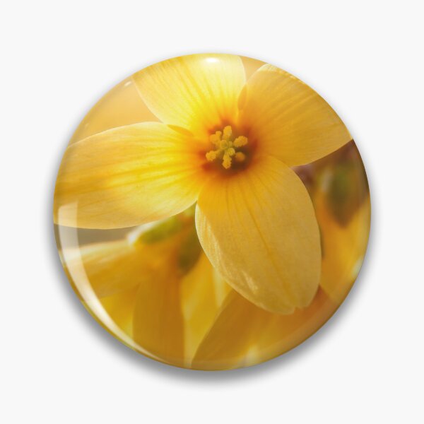 Item preview, Gleaming Yellow Spring designed and sold by scicilysimonee.