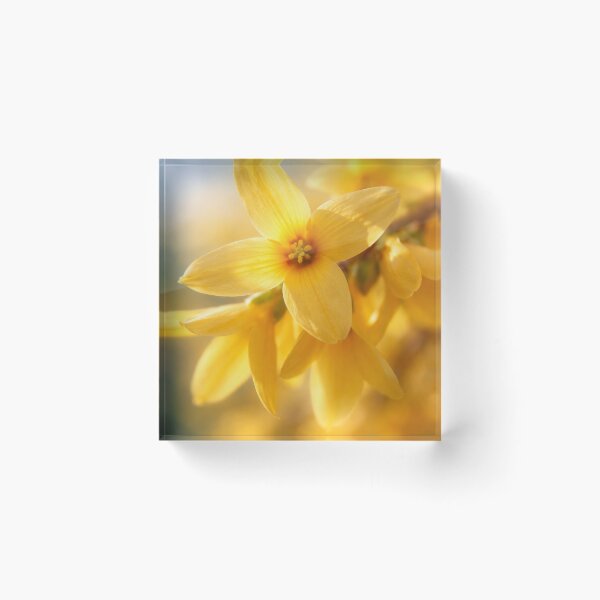 Item preview, Gleaming Yellow Spring designed and sold by scicilysimonee.