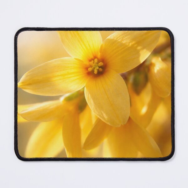 Item preview, Gleaming Yellow Spring designed and sold by scicilysimonee.