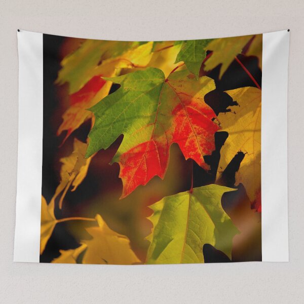 Item preview, The Colors of Fall designed and sold by DBM Photo Art 1.