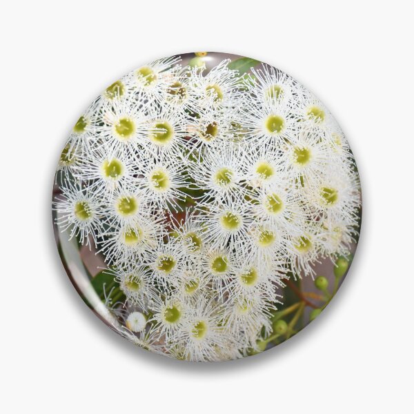 Item preview, Heart Eucalyptus Tree Flowers Western Australia designed and sold by Rainbow Farm Photography.