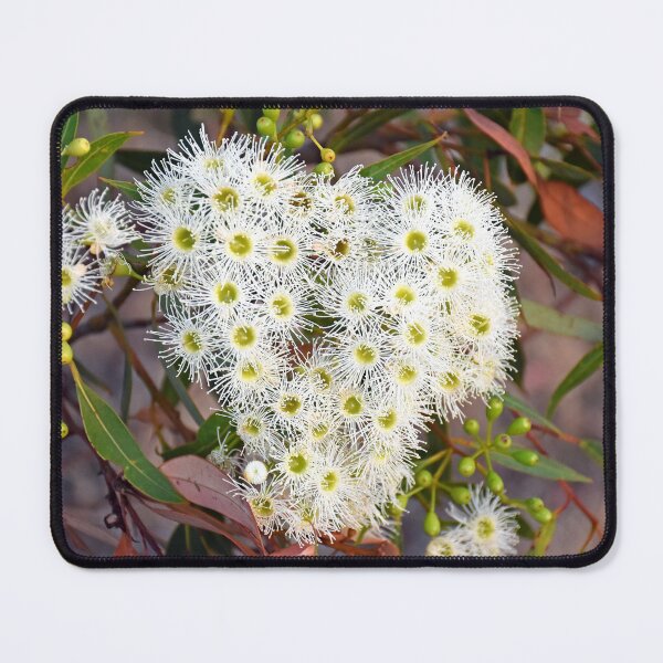 Item preview, Heart Eucalyptus Tree Flowers Western Australia designed and sold by Rainbow Farm Photography.