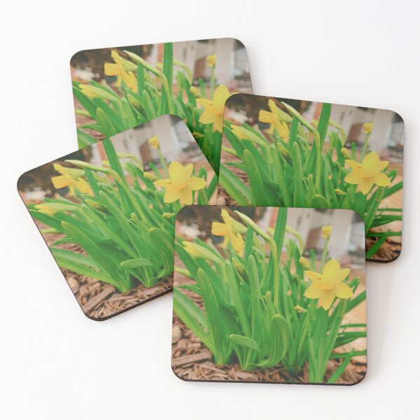 Item preview, Daffodils designed and sold by LittleLovelies.