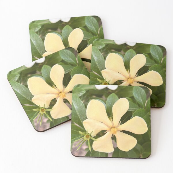 Item preview, Soft Yellow Australian Native Frangipani Natural Garden Floral designed and sold by Be Captured by Brittany Emma.