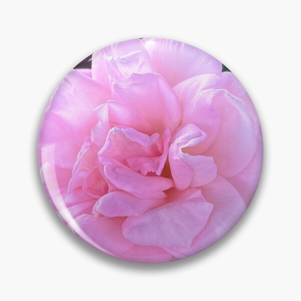 Item preview, Soft Pink Rose Bloom Romantic Floral Close Up designed and sold by Be Captured by Brittany Emma.