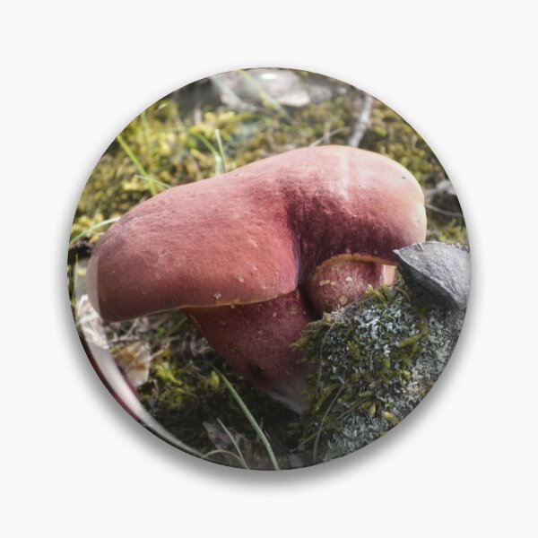 Item preview, Velvety Red Bicolor Bolete Mushroom on Mossy Forest Floor designed and sold by Blossom-Breeze.