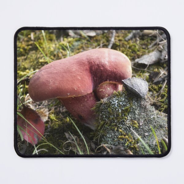 Item preview, Velvety Red Bicolor Bolete Mushroom on Mossy Forest Floor designed and sold by Blossom-Breeze.