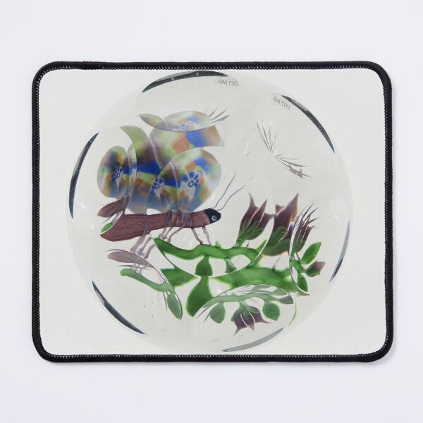 Item preview, Butterfly Looks LIke Glass designed and sold by sjoanne52.