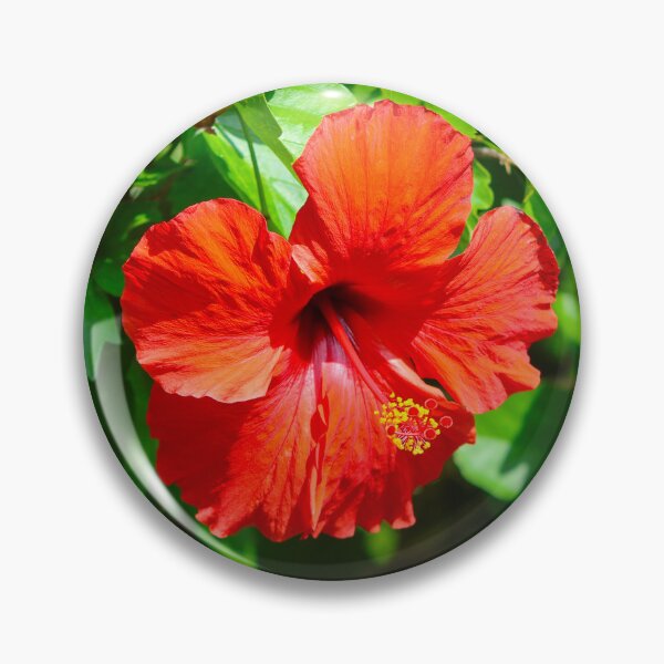 Item preview, Red Hibiscus designed and sold by S-V-Photography.