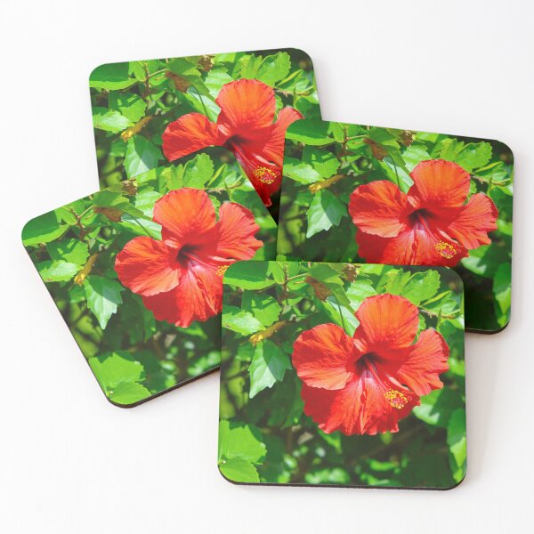 Item preview, Red Hibiscus designed and sold by S-V-Photography.