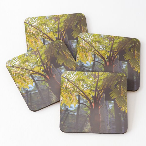 Item preview, Tree-Fern designed and sold by S-V-Photography.