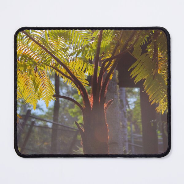 Item preview, Tree-Fern designed and sold by S-V-Photography.