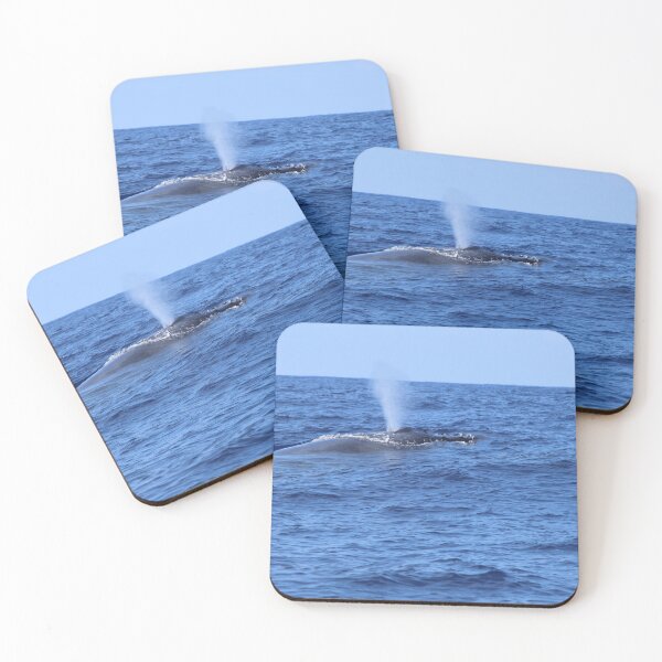 Item preview, Humpback whale spout designed and sold by S-V-Photography.