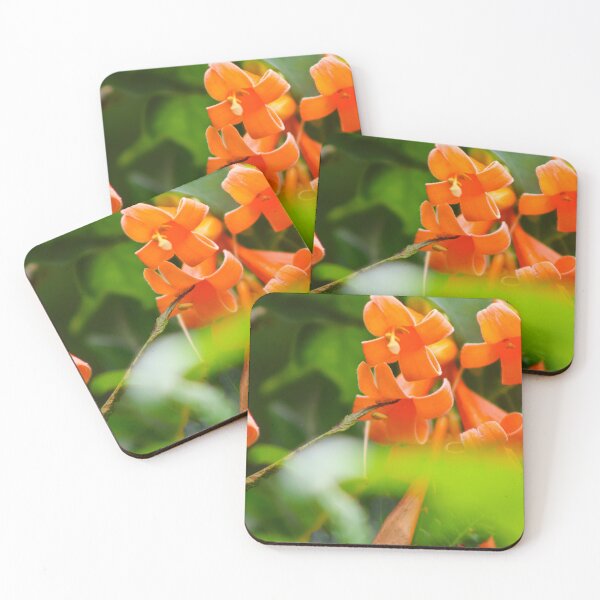 Item preview, Orange flowers designed and sold by S-V-Photography.