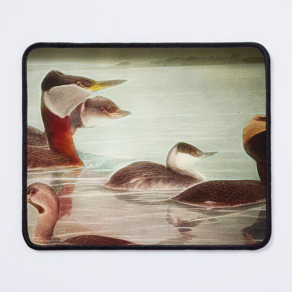 Item preview, Birds 1917 No 1 Grebes designed and sold by bloomingvine.