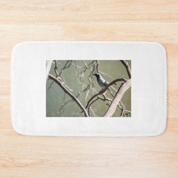 Item preview, Black Faced Cuckoo-shrike designed and sold by D-GaP.