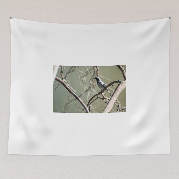 Item preview, Black Faced Cuckoo-shrike designed and sold by D-GaP.