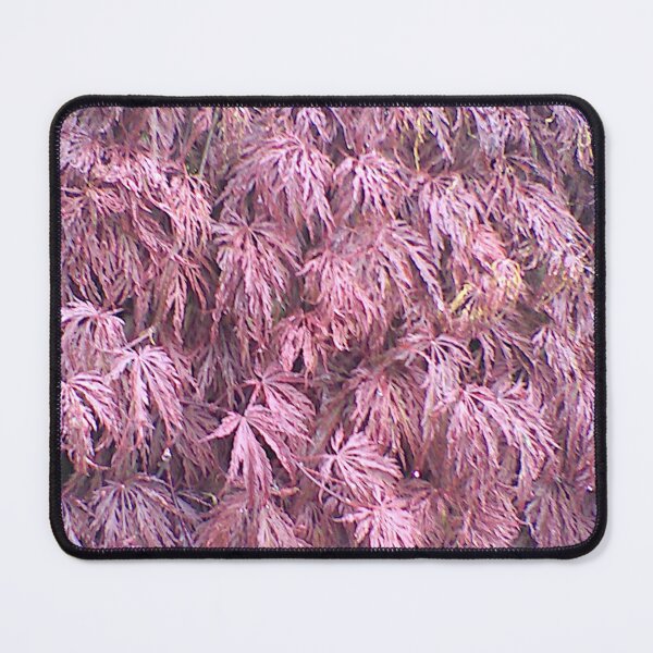 Item preview, Taffy Feathers ~  designed and sold by Jeanine King.