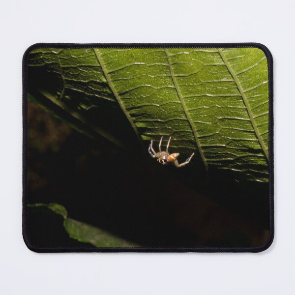 Item preview, A Kind of Jumping Spider designed and sold by ROSE ANN BANILAR.