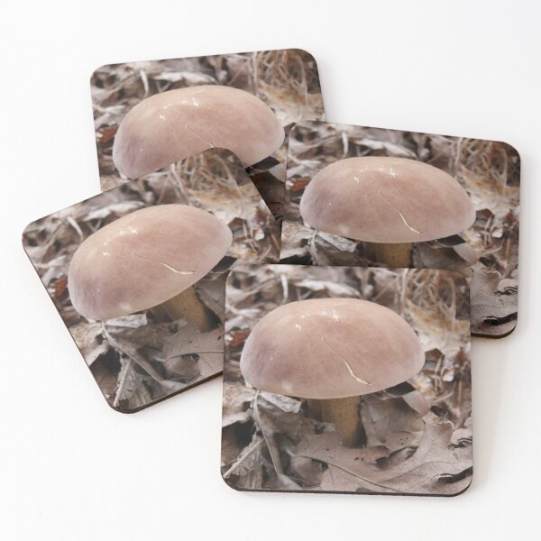 Item preview, King Bolete Mushroom in Autumn Oak Leaves designed and sold by Blossom-Breeze.