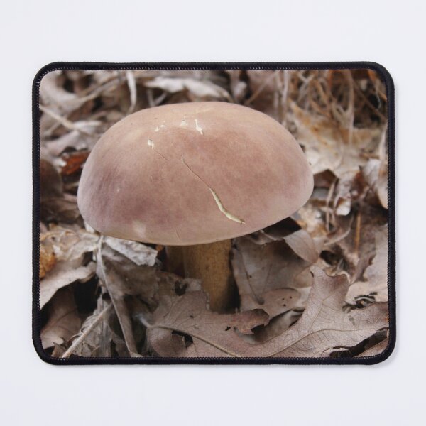 Item preview, King Bolete Mushroom in Autumn Oak Leaves designed and sold by Blossom-Breeze.