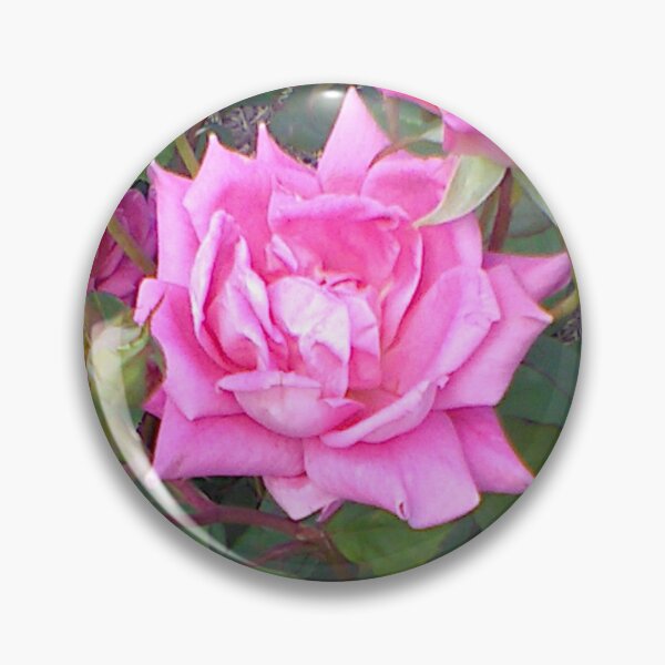 Item preview, Pastel Pink Roses ~  designed and sold by Jeanine King.