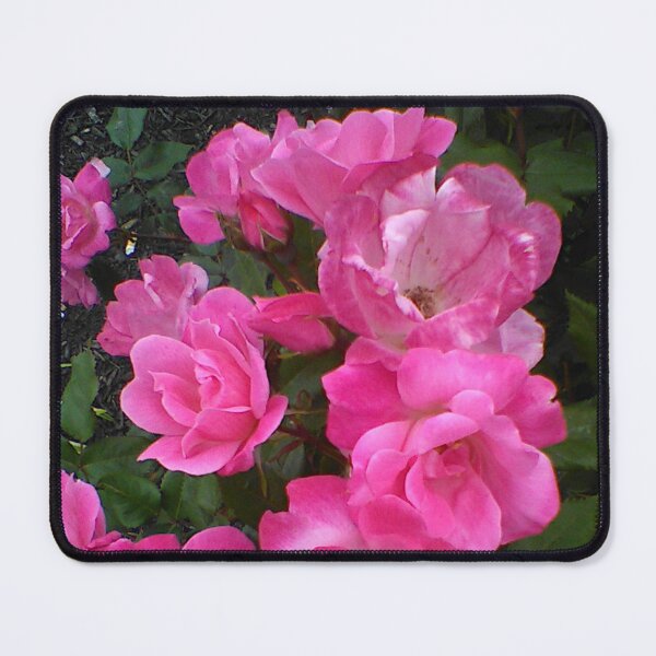 Item preview, Pink Ballet Slipper Roses ~  designed and sold by Jeanine King.