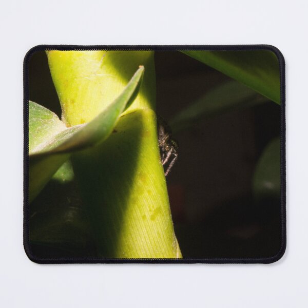 Item preview, ant-mimic jumping spider designed and sold by ROSE ANN BANILAR.