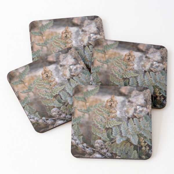 Item preview, Mossy Ferns designed and sold by ArtVenturePhoto.