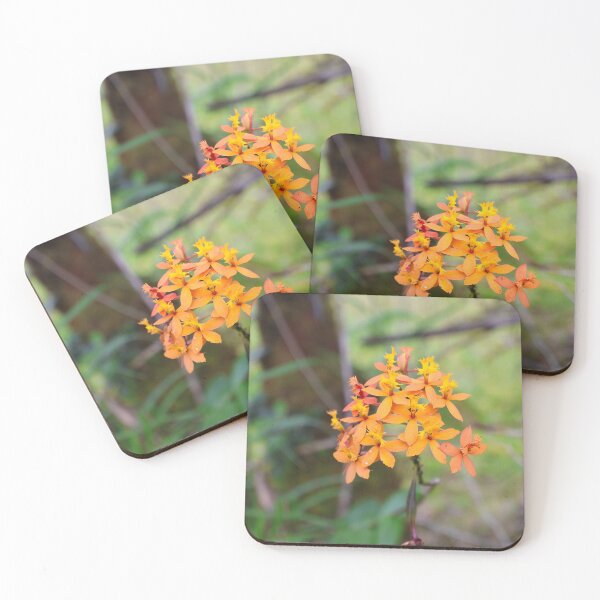 Item preview, Orange orchid cluster designed and sold by S-V-Photography.