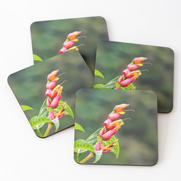 Item preview, Magenta flower cluster designed and sold by S-V-Photography.